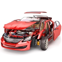 Body Parts & Mirrors